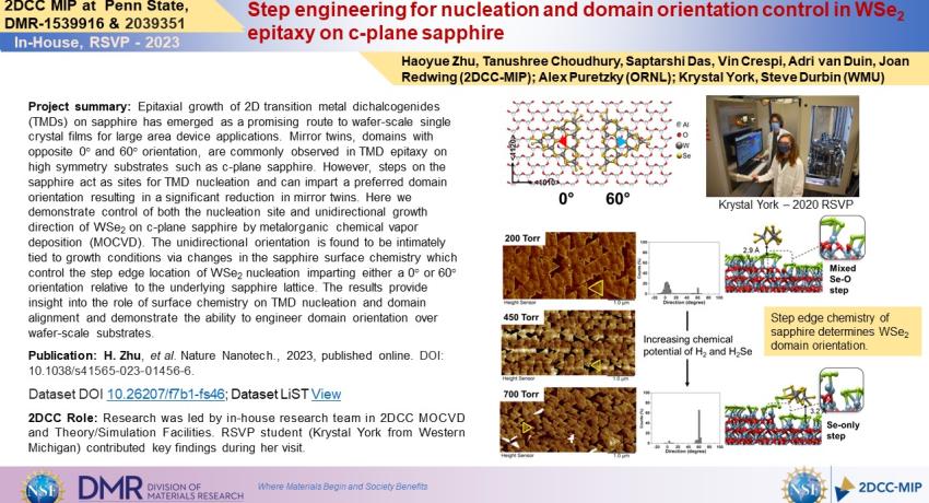 Step engineering for nucleation and domain orientation control in WSe2 epitaxy on c-plane sapphire