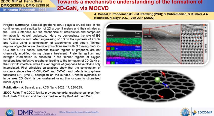 Towards a mechanistic understanding of the formation of 2D-GaNx via MOCVD